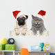 Dog and Cat Red