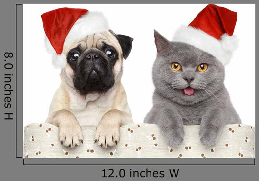Dog and Cat Red
