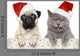 Dog and Cat Red