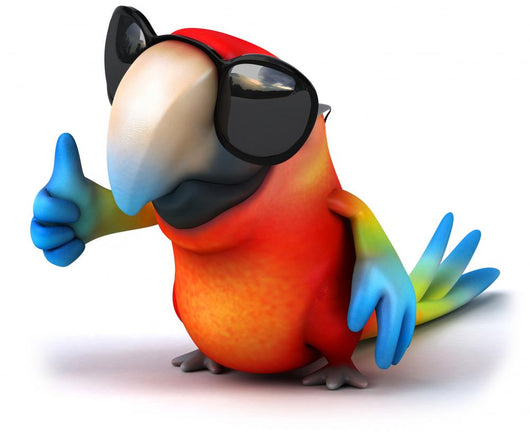 Fun Parrot Wall Decal
