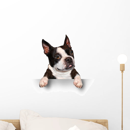 Cute Dog Holding A Blank Sign Wall Decal