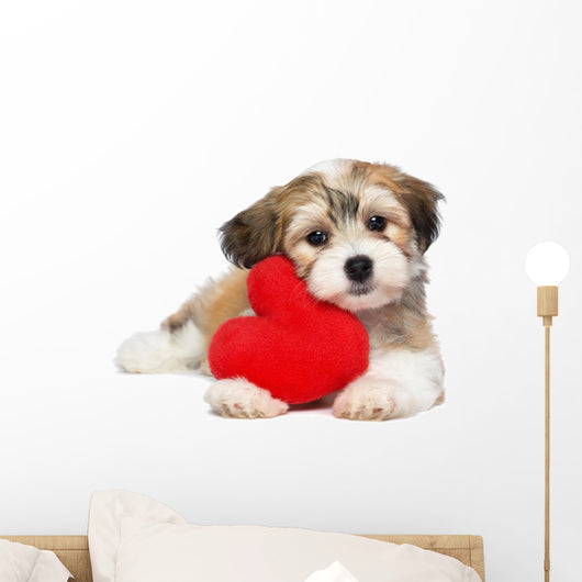 Lover Valentine Havanese puppy dog with a red heart Wall Decal