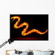 Fire Snake