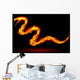 Fire Snake
