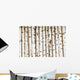 Birch Wood Texture