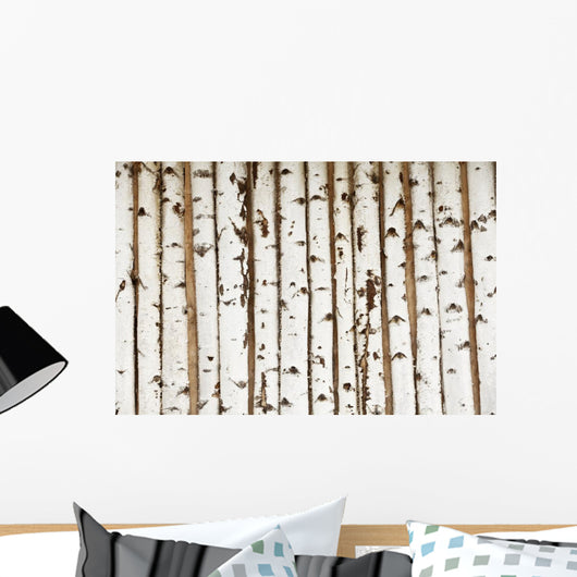 Birch Wood Texture