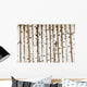 Birch Wood Texture