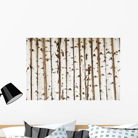 Birch Wood Texture