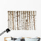 Birch Wood Texture