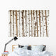 Birch Wood Texture