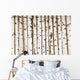 Birch Wood Texture