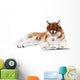 brown siberian husky in specs reading a book Wall Decal