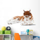 brown siberian husky in specs reading a book Wall Decal