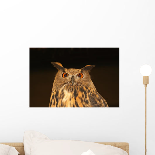 Eagle Owl Wall Mural