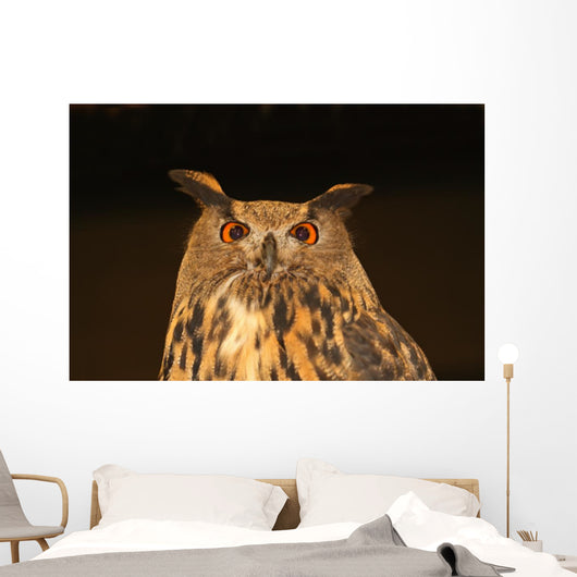 Eagle Owl Wall Mural