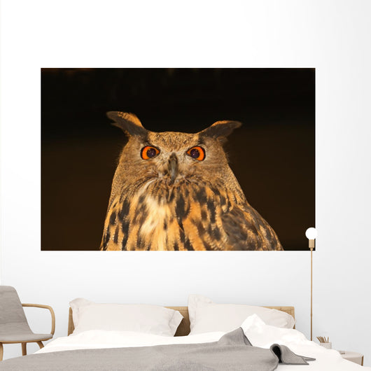 Eagle Owl Wall Mural