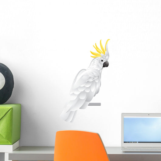 Cockatoo Parrot