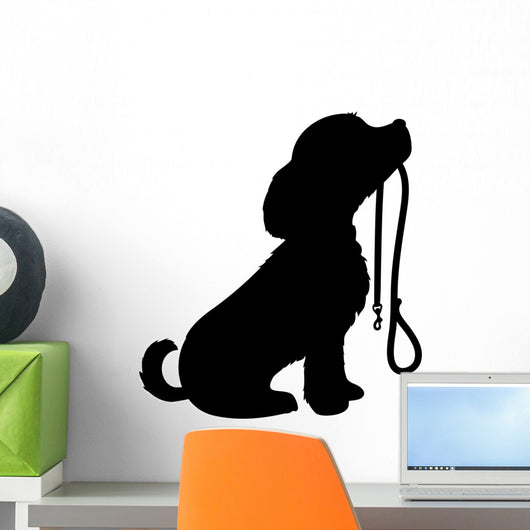 Dog and Leash