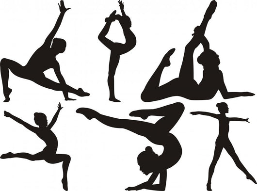 Gymnastics and Fitness