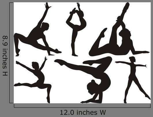 Gymnastics and Fitness
