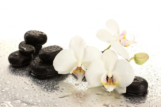 Spa Stones and Orchid Wall Mural