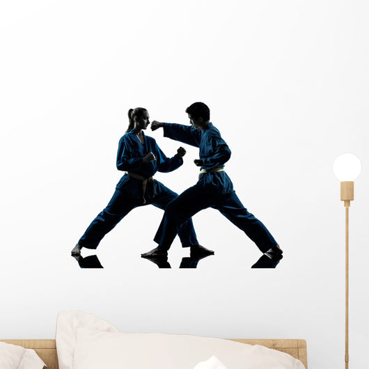 Karate Vietvodao Martial Arts