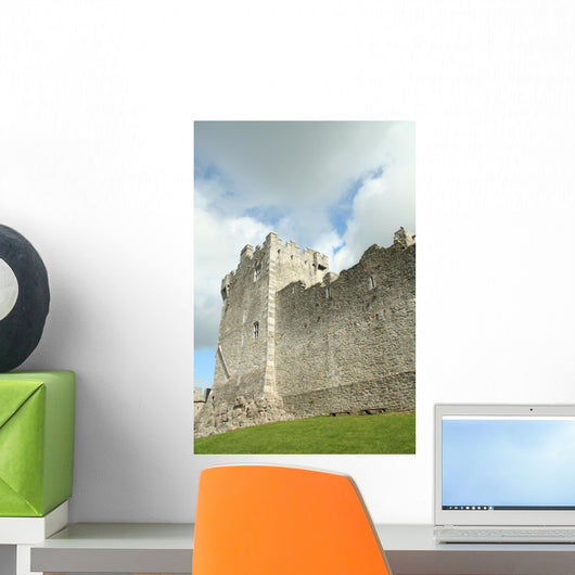 Old Ruined Irish Castle