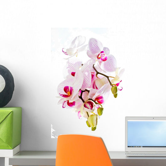 Orchis Wall Mural
