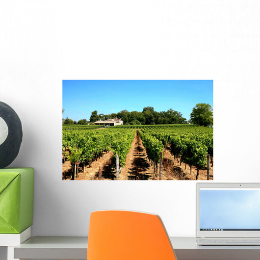 Vineyard near Bordeaux
