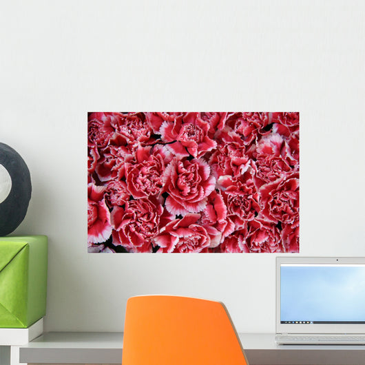 From Rose Carnations
