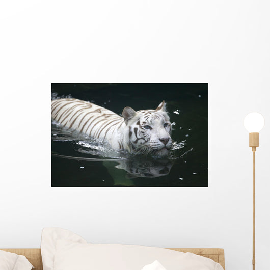 White Tiger Wall Mural