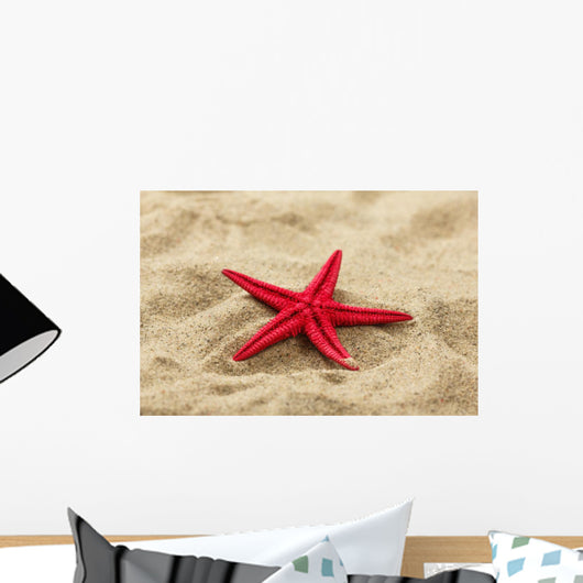 Close-up Red Starfish Beach