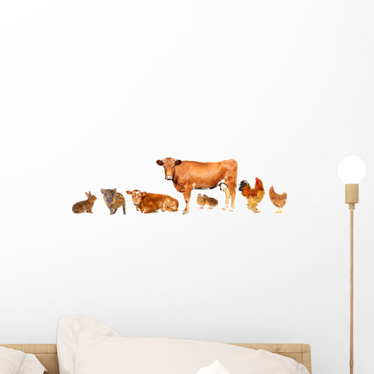 Livestock