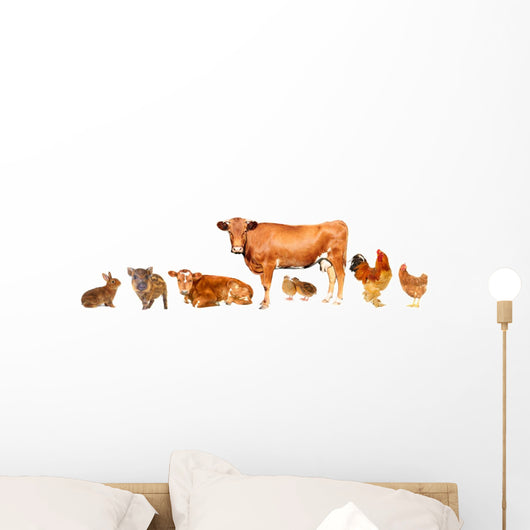 Livestock