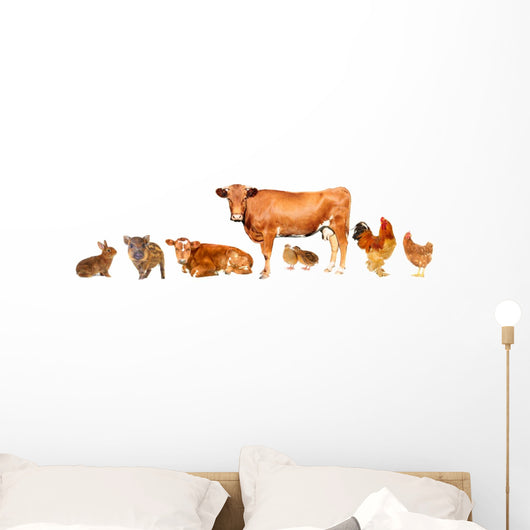 Livestock
