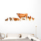 Livestock