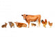 Livestock