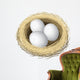 Layered vector illustration of nest eggs Wall Decal