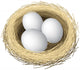 Layered vector illustration of nest eggs Wall Decal