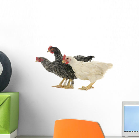 Chicken Friends Wall Decal