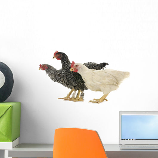 Chicken Friends Wall Decal