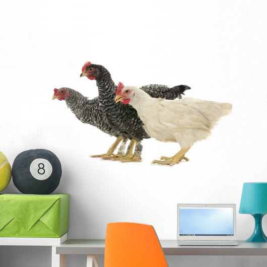 Chicken Friends Wall Decal