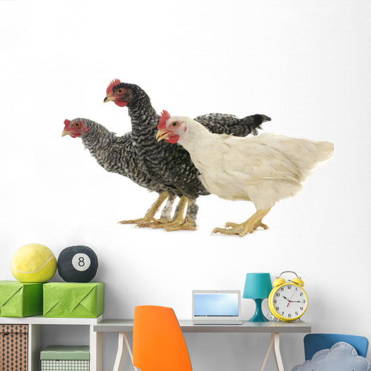 Chicken Friends Wall Decal