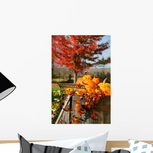 Colorful pumpkins and gourds Wall Mural