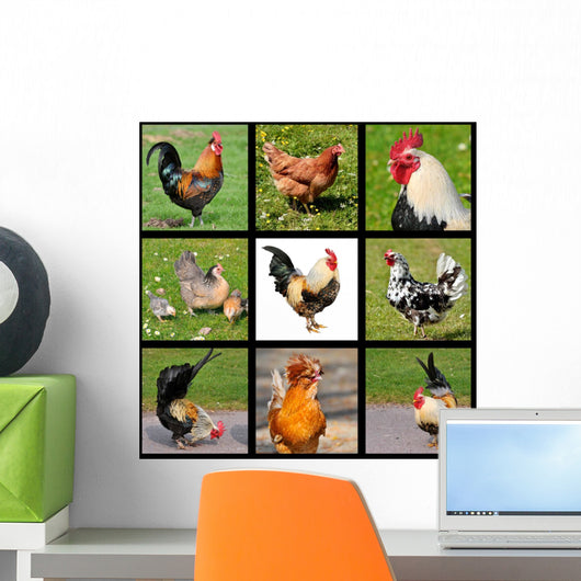 Nine Photos Mosaic Roosters