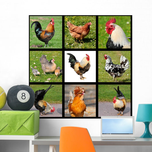Nine Photos Mosaic Roosters