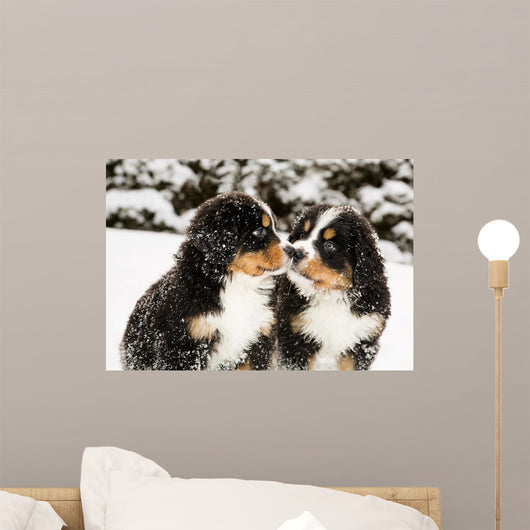 Bernese Mountain Dog Puppets