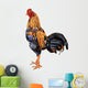 A Cock,native Species of Thailand,has Beautiful Color. Wall Decal