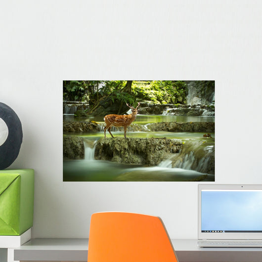 Deer Waterfall