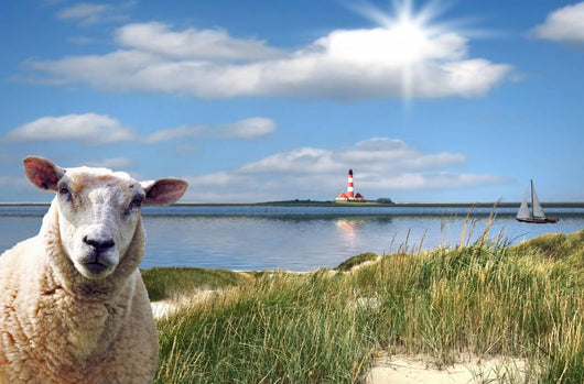 Westerhever North Friesland